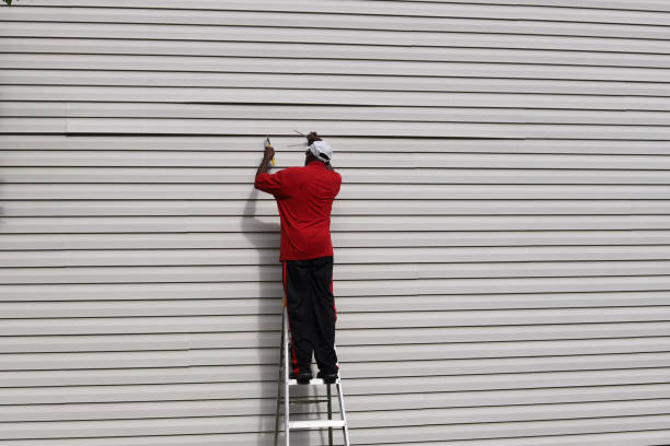 Affordable Siding Repair and Maintenance Services in Falconer, NY